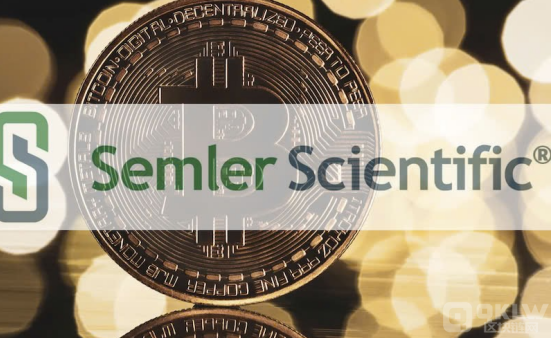 tg˾ Semler Scientific Bitcoin DƬ