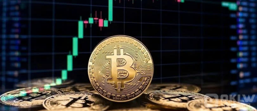 BitcoinַɢͶY߻ؚwE@F(xin)DƬ