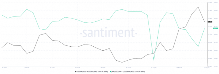 加密鯨魚在2024年8月第一周的山寨幣購買動態圖片