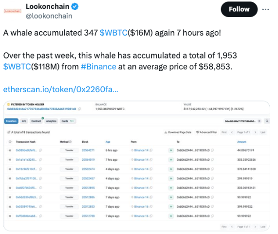 δ֪L~eُI1,600fԪWrapped Bitcoin DƬ