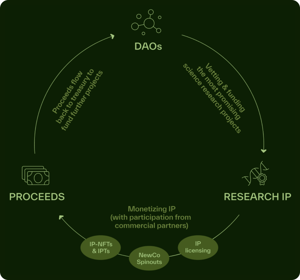 ԔBIO ProtocolDeSciIĿθ¿ DƬ