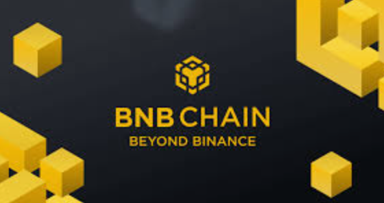 怎么購買BNB幣？BNB幣是什么幣｜新手購買教程圖片